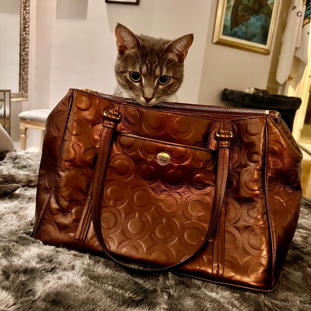 Authentic Coach monogram dark brown/bronze leather shoulder bag